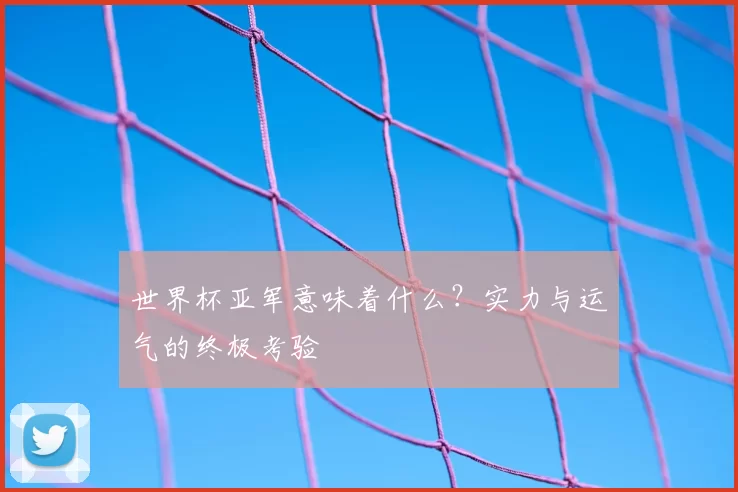 世界杯亚军意味着什么？实力与运气的终极考验