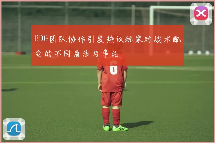 EDG团队协作引发热议玩家对战术配合的不同看法与争论