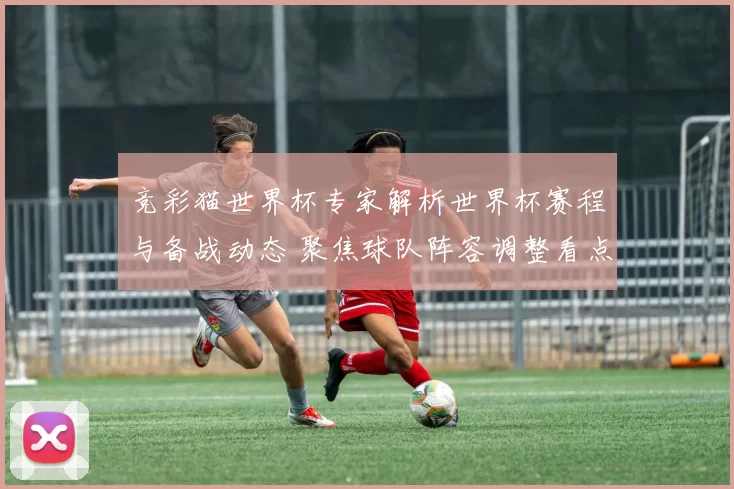 竞彩猫世界杯专家解析世界杯赛程与备战动态 聚焦球队阵容调整看点
