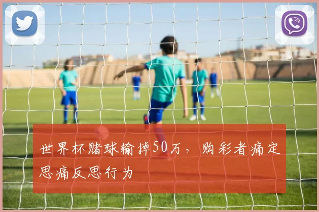 世界杯赌球输掉50万，购彩者痛定思痛反思行为