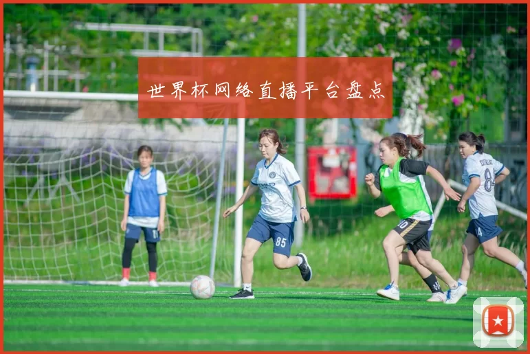 世界杯网络直播平台盘点