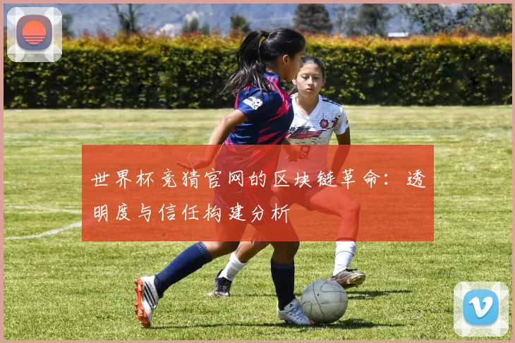 世界杯竞猜官网的区块链革命：透明度与信任构建分析