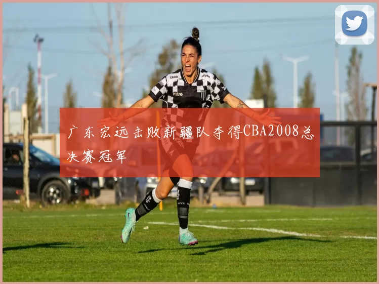 广东宏远击败新疆队夺得CBA2008总决赛冠军