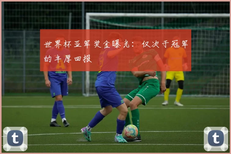 世界杯亚军奖金曝光：仅次于冠军的丰厚回报