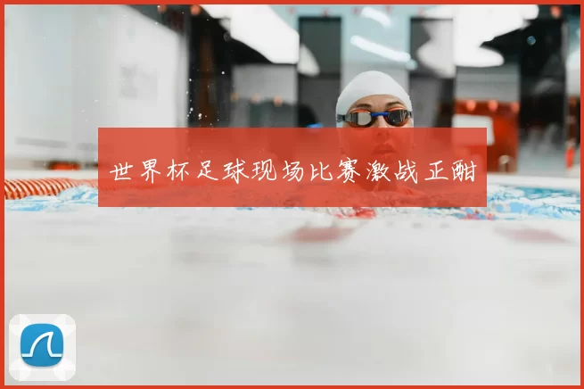 世界杯足球现场比赛激战正酣