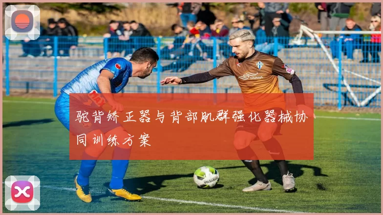 驼背矫正器与背部肌群强化器械协同训练方案