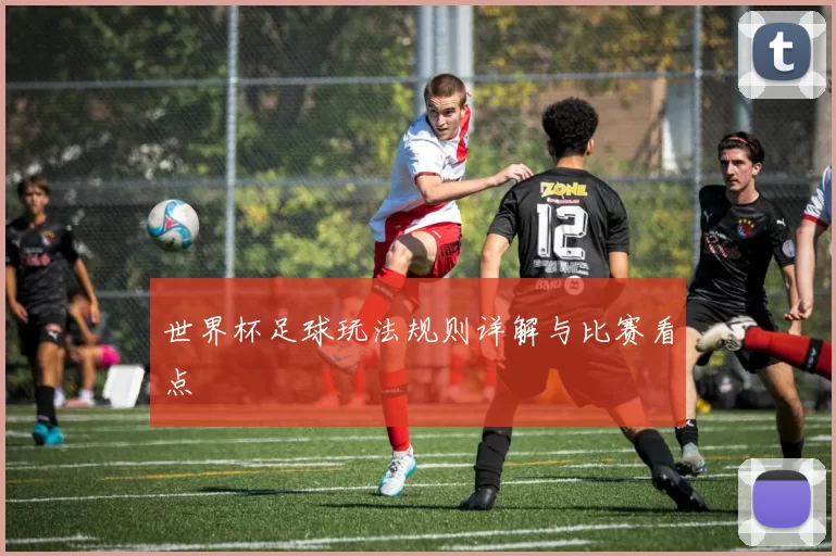 世界杯足球玩法规则详解与比赛看点