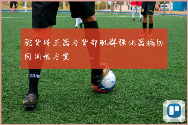 驼背矫正器与背部肌群强化器械协同训练方案