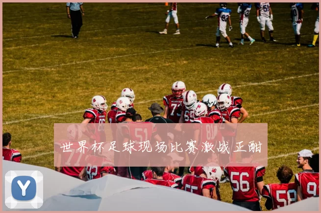 世界杯足球现场比赛激战正酣