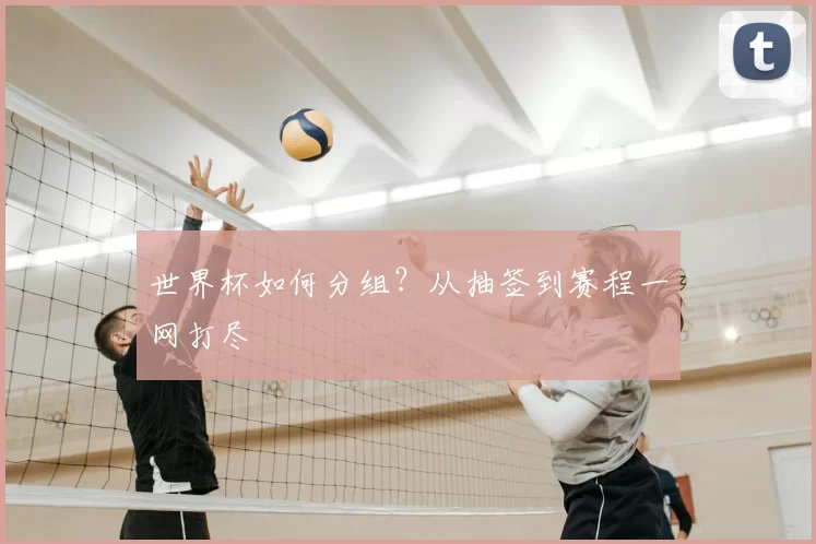 世界杯如何分组？从抽签到赛程一网打尽
