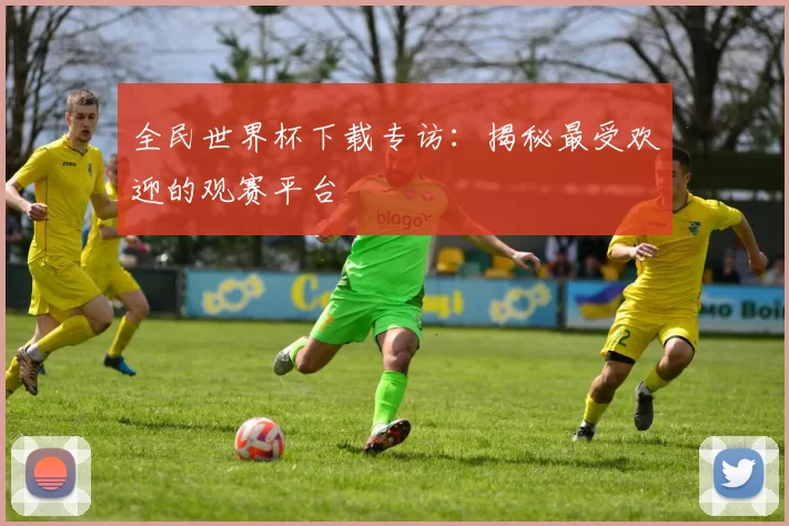 全民世界杯下载专访：揭秘最受欢迎的观赛平台
