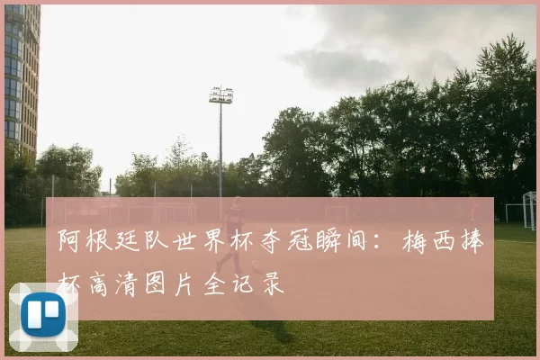 阿根廷队世界杯夺冠瞬间：梅西捧杯高清图片全记录
