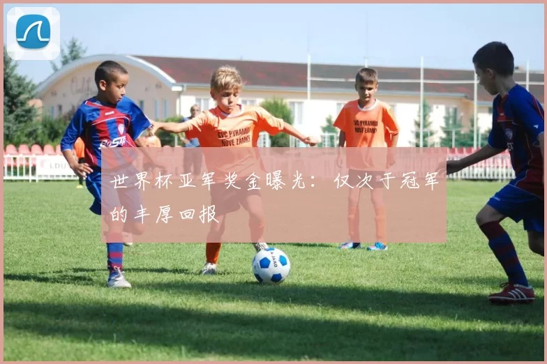 世界杯亚军奖金曝光：仅次于冠军的丰厚回报